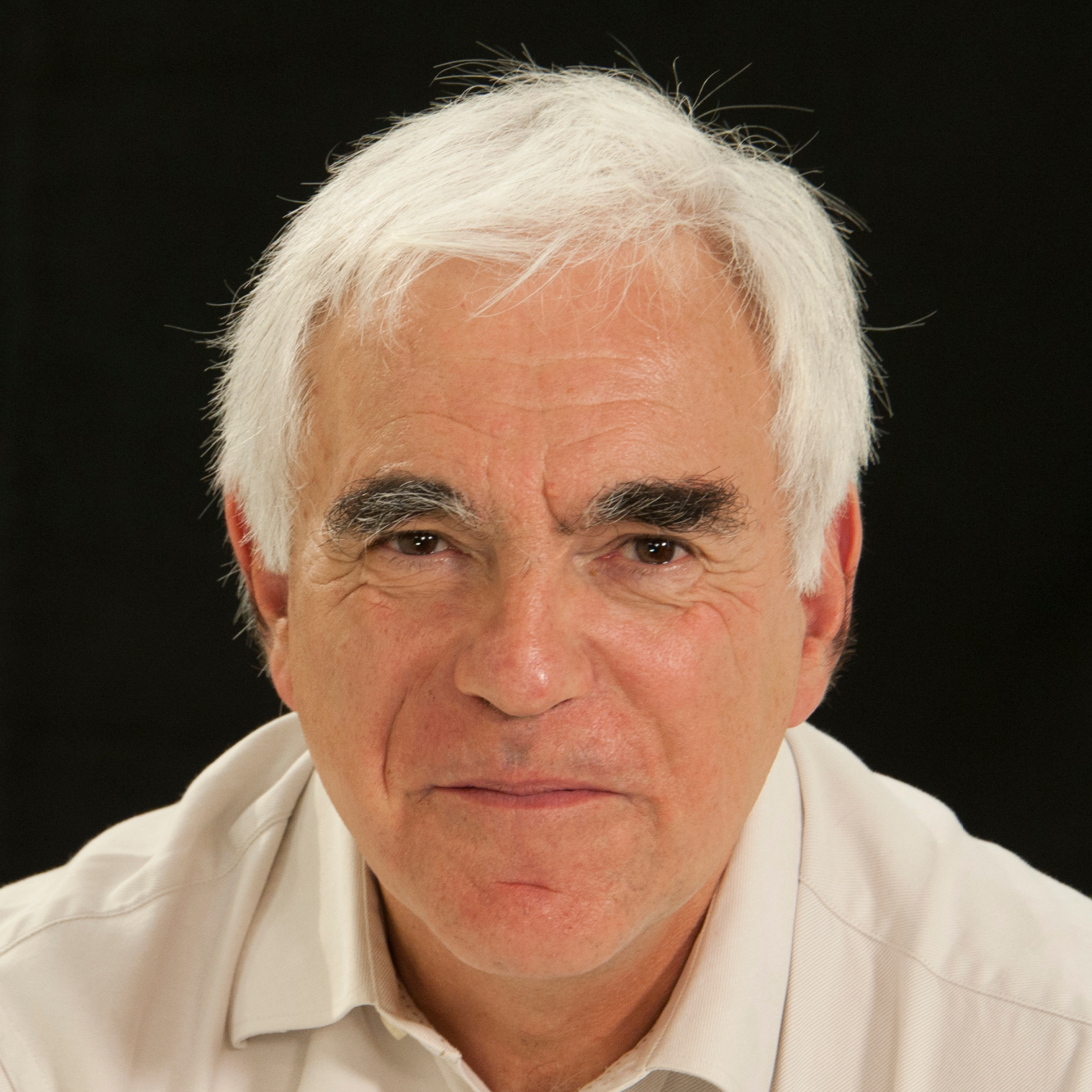 Gérard Berry Software Heritage