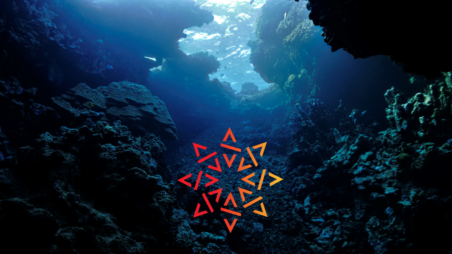 Deep Dive into the archival of Software Metadata - Software Heritage