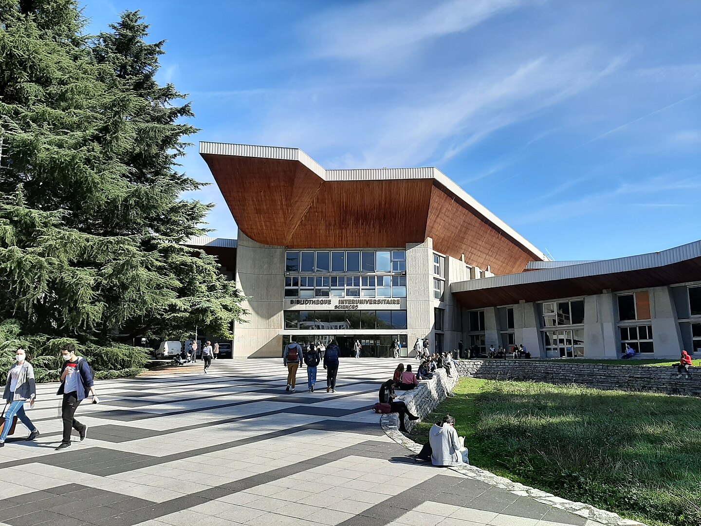 Yale Üniversitesi